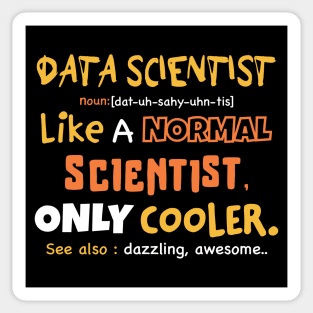 Data scientist definition / data gift idea / data analyst Sticker